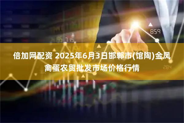 倍加网配资 2025年6月3日邯郸市(馆陶)金凤禽蛋农贸批发市场价格行情