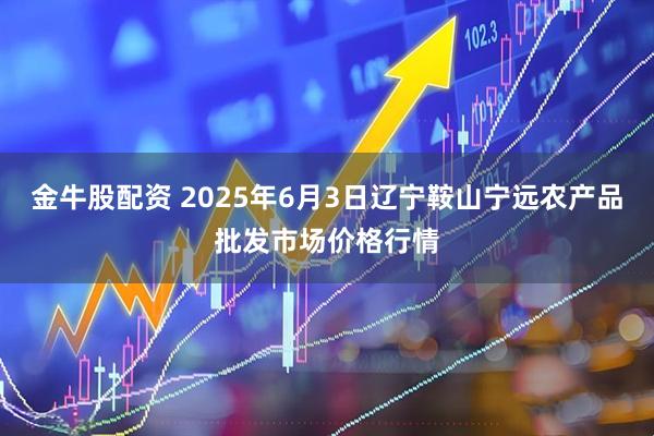 金牛股配资 2025年6月3日辽宁鞍山宁远农产品批发市场价格行情