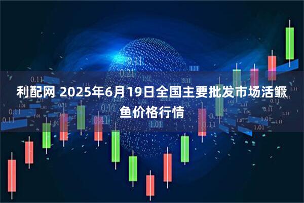 利配网 2025年6月19日全国主要批发市场活鳜鱼价格行情