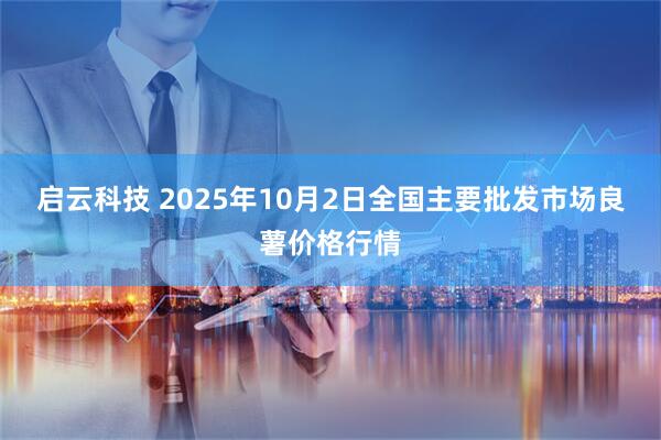 启云科技 2025年10月2日全国主要批发市场良薯价格行情