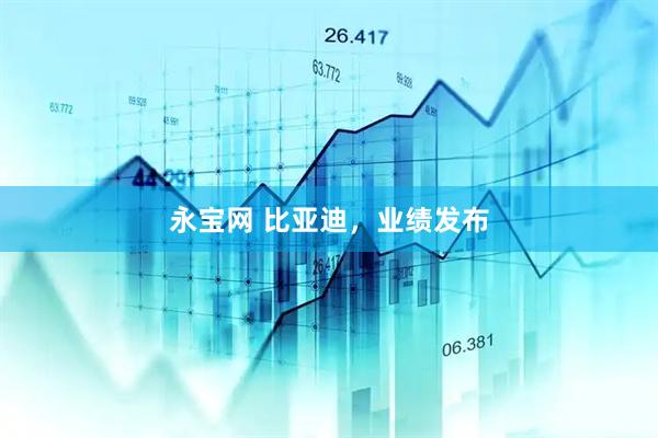 永宝网 比亚迪，业绩发布